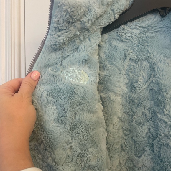 The North Face Kids Puffer Jacket in Gray with Light Blue Lining - Picture 4 of 7